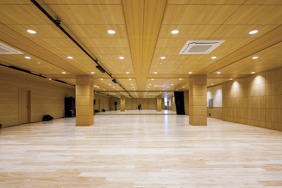 Performing Arts Training Center_2015~2016_대구 보화원